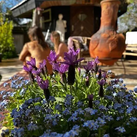 度假居 Rageleje's Seaside Oasis - Inspiring With Sauna Græsted