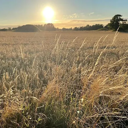 Rageleje's Seaside Oasis - Inspiring With Sauna 度假居