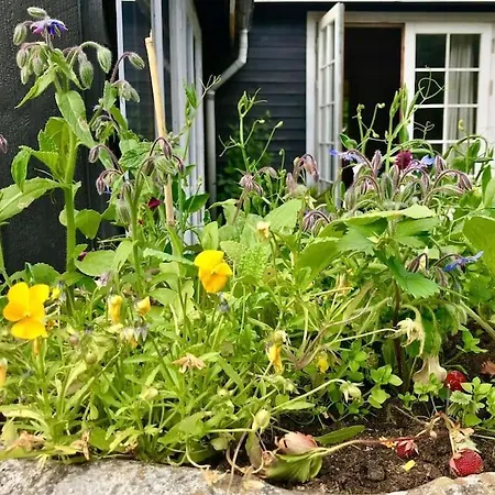 度假居 Rageleje's Seaside Oasis - Inspiring With Sauna