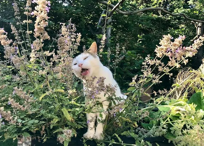 Rageleje's Seaside Oasis - Inspiring With Sauna