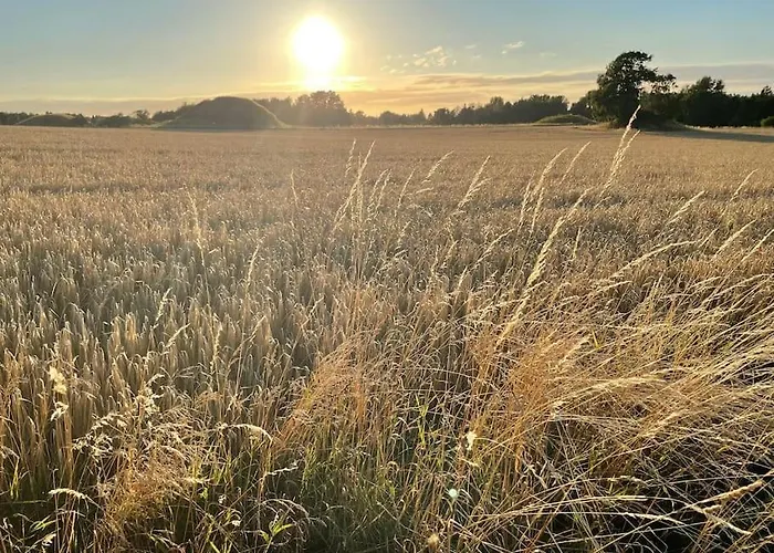 Rageleje's Seaside Oasis - Inspiring With Sauna Vakantiehuis